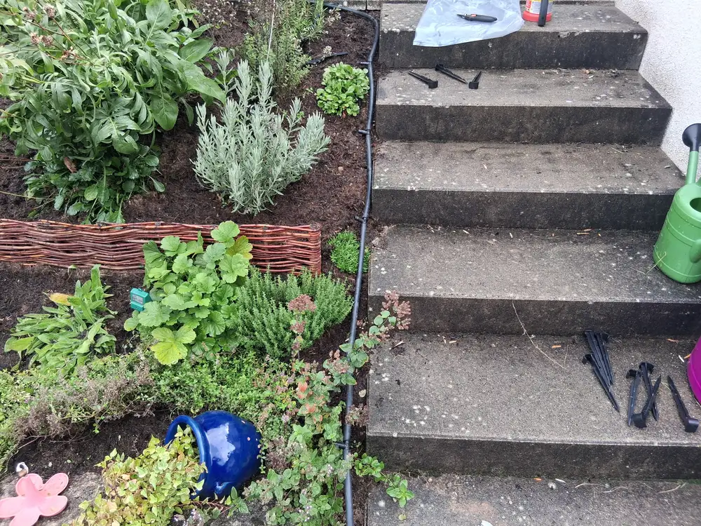 Kräuterbeet mit Lavendel und Stauden neben Stufen, versorgt über Tropfrohre