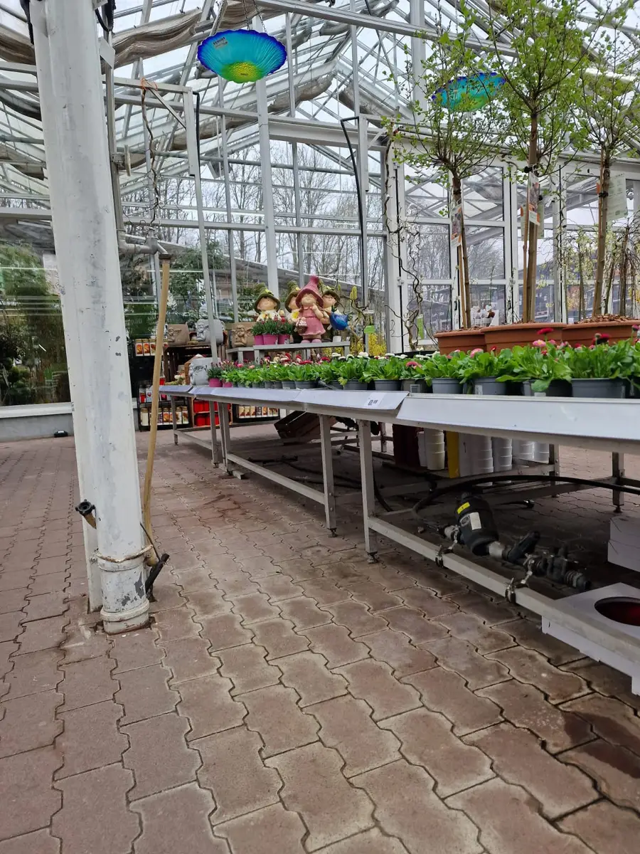 Verkaufsbereich eines Gartencenters mit bepflanzten, bewässerten Tischen